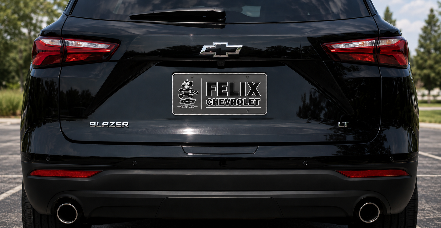 Felix Plastic Silver Insert