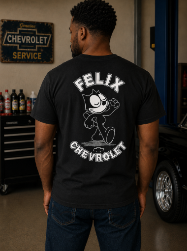 Felix Walking Cat